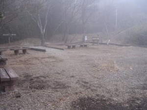恩賜箱根公園の写真3