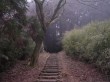 恩賜箱根公園の写真のサムネイル写真4