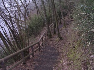 恩賜箱根公園の写真6