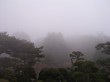 恩賜箱根公園の写真のサムネイル写真9