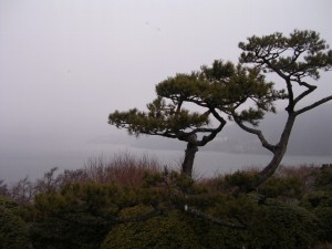 恩賜箱根公園の写真10