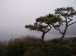 恩賜箱根公園の写真のサムネイル写真10