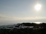 真鶴岬三ツ石の写真のサムネイル写真31
