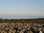 真鶴岬三ツ石の写真のサムネイル写真35