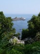 真鶴岬三ツ石の写真のサムネイル写真14