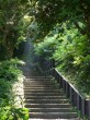 真鶴岬三ツ石の写真のサムネイル写真15