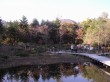 箱根湿生花園の写真のサムネイル写真2