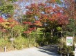 箱根湿生花園の写真のサムネイル写真5