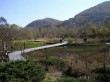 箱根湿生花園の写真のサムネイル写真8