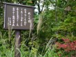 箱根湿生花園の写真のサムネイル写真14