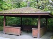 箱根湿生花園の写真のサムネイル写真19