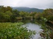 箱根湿生花園の写真のサムネイル写真20
