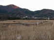 すすき草原（仙石原）の写真のサムネイル写真13