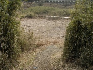 お玉ヶ池の写真4