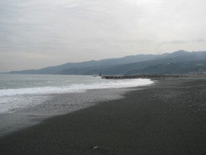 御幸の浜の写真6