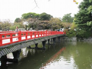 小田原城址公園の写真