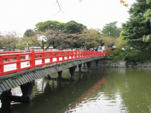 小田原城址公園の写真