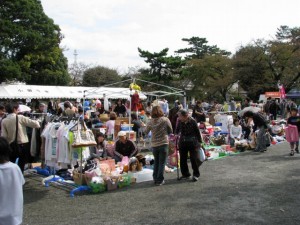 小田原城址公園の写真2