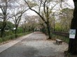 小田原城址公園の写真のサムネイル写真3
