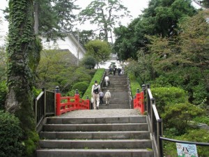 小田原城址公園の写真7