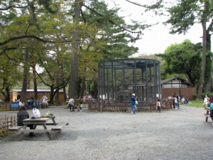 小田原城址公園の写真10