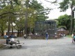 小田原城址公園の写真のサムネイル写真10