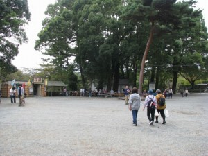 小田原城址公園の写真13