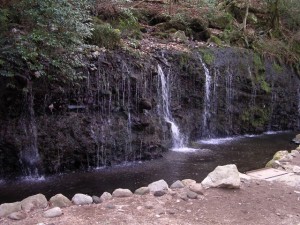 千条の滝の写真6