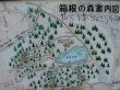 箱根の森の写真のサムネイル写真2