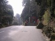 箱根神社の写真のサムネイル写真2