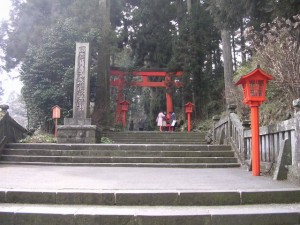 箱根神社の写真3