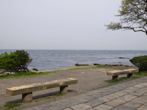 観音崎園地・海岸園地の写真