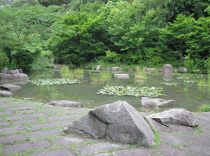 金沢自然公園の写真