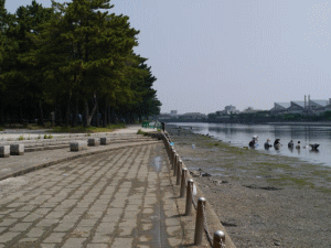 野島公園の写真