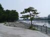 野島公園の写真のサムネイル写真11