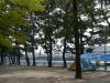 野島公園の写真のサムネイル写真18