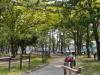 野島公園の写真のサムネイル写真20