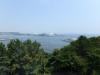 野島公園の写真のサムネイル写真47