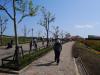 ソレイユの丘（長井海の手公園）の写真のサムネイル写真3