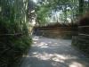 嵯峨野、竹林の小道の写真のサムネイル写真6