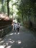 嵯峨野、竹林の小道の写真のサムネイル写真7
