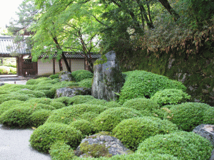 知恩院（方丈庭園）の写真