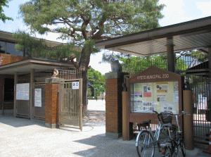 京都市動物園の写真