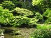 南禅寺（名勝庭園）の写真のサムネイル写真10