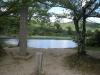 大沢池の写真のサムネイル写真3