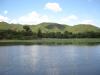 大沢池の写真のサムネイル写真4