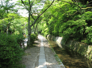 哲学の道の写真