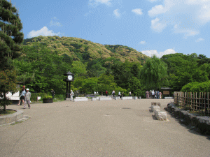 円山公園の写真