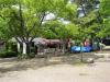 円山公園の写真のサムネイル写真6