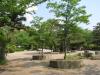 円山公園の写真のサムネイル写真8